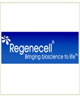 Regenecell — photo