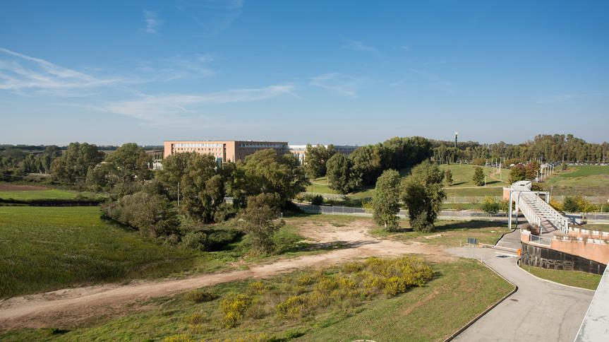 Facility Outside