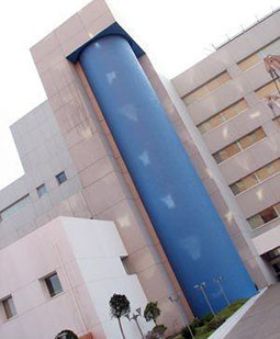 Baja Orthopedics — photo