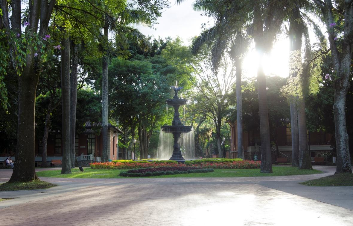 Hospital Universitario de San Vicente Fundación