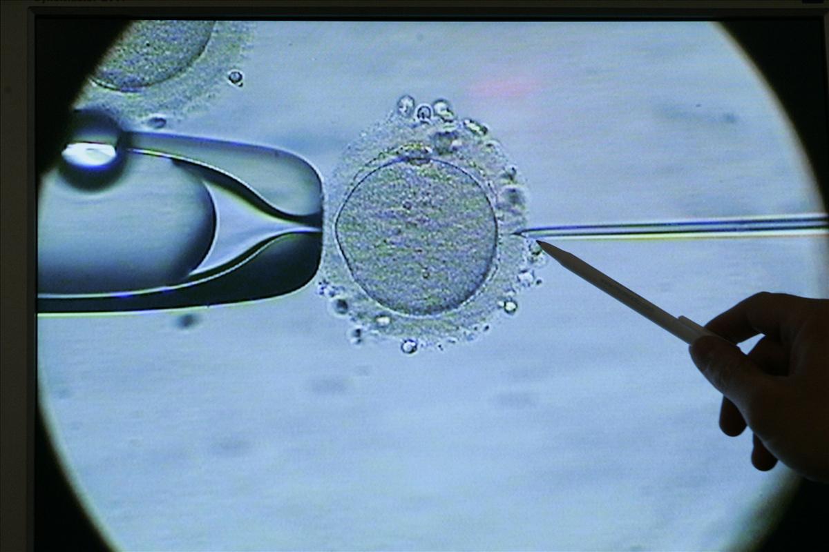 Altravita